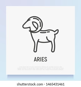 Aries thin line icon. Modern vector illustration of astrological sign for horoscope.