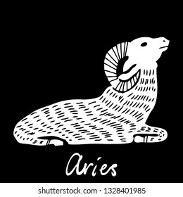 Aries  zodiac horoscope hand drawing sign for mystic  occult  palmistry and witchcraft alchemy. Vector. 
