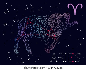 Aries Zodiac sign and constellation. Horned sheep on a cosmic dark blue background with stars. Hand drawn vintage engraving style vector illustration. Space, astrology, horoscope, astronomy design.