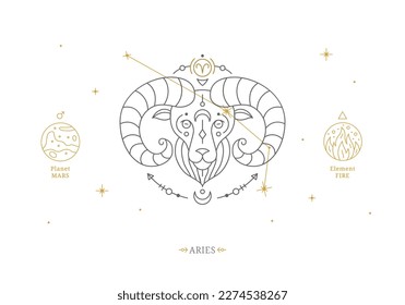 Aries zodiac sign with description of personal features. Astrology horoscope card with zodiac constellation on white background thin line vector illustration