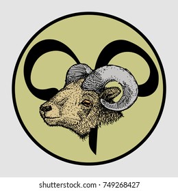 Aries Zodiac sign. Hand drawn vector stock illustration