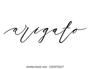 Arigato inscription design. Modern handwritten brush calligraphy. Hand drawn lettering arigato isolated on the white background.Arigato vector illustration. Sticker for social media content, cards