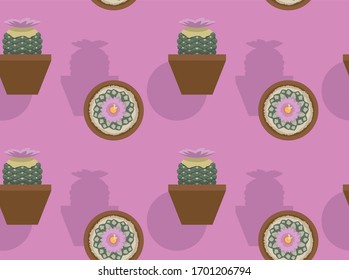 Ariocarpus Lloydii Succulent and Cactus Set Vector Seamless Background Wallpaper-01