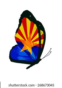 Arizona flag butterfly - vector