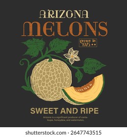 Impressão de fruta de melão do Arizona. Design de impressão de frutas do Arizona. moda de comida do deserto. Gráficos de impressão de verão do Arizona em vetores. impressão de camisa em gráficos vetoriais