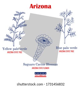 Arizona  Set USA official state symbols  Vector hand drawn illustration
