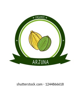 Arjuna. Fruit. Sketch. Color. Logo, emblem