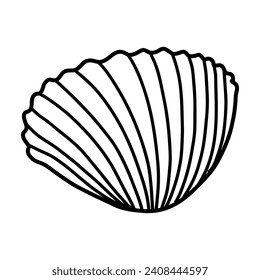 Ark Clam Sea Shell isolated on a transparent. Vector illustration in outline style. For cards, logo, decorations, invitations, boho designs.