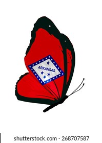 Arkansas flag butterfly - vector
