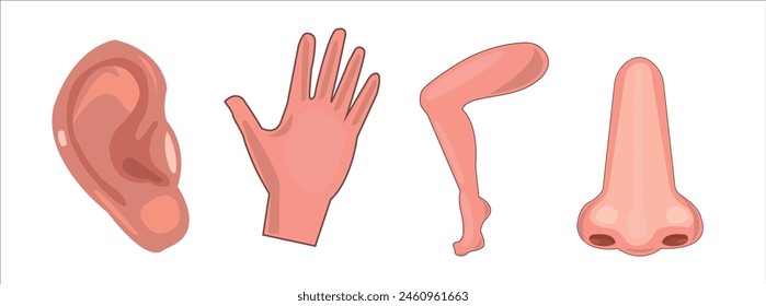 Arm, leg, tongue, mouth, nose, hand, human body parts vector illustration