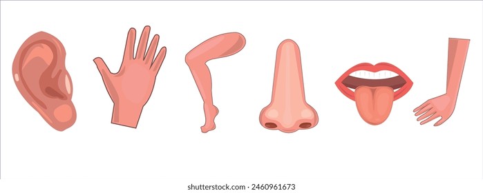 Arm, leg, tongue, mouth, nose, hand, human body parts vector illustration