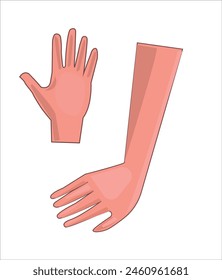 Arm, leg, tongue, mouth, nose, hand, human body parts vector illustration
