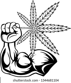 Arm Raised Up With Hand Holding Medical Marijuana Leaf