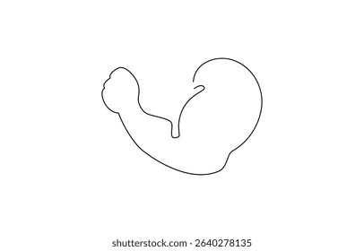 Arm shows bicep fist. Continuous one line vector, Man's hand shows a fist on the biceps in line style. Continuous one line vector drawing ,Man shows bicep fist hand continuous line drawing.