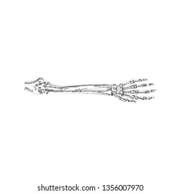 Arm skeleton illustration, hand drawn vector 
