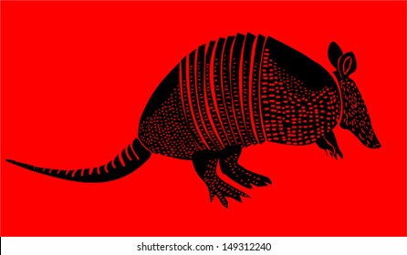 Armadillo