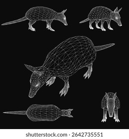 Armadillo 3D wireframe model with realistic details, showcasing the animal's segmented shell and textured skin. The black background highlights the intricate mesh structure.
