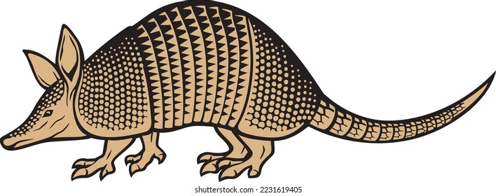 Armadillo Animal Color. Vector Illustration.