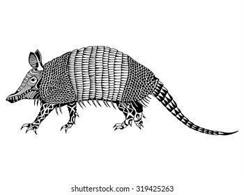 Armadillo Cingulata Dasypodidae Realistic Drawing Illustration