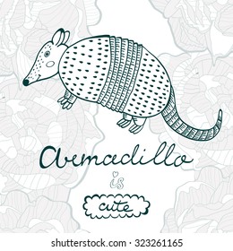 Armadillo is cute. Colorful concept card with armadillo character and hand lettering