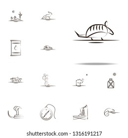 armadillo desert animal icon. Desert icons universal set for web and mobile