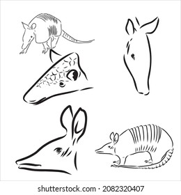 Armadillo hand drawn vector illustration in black and white