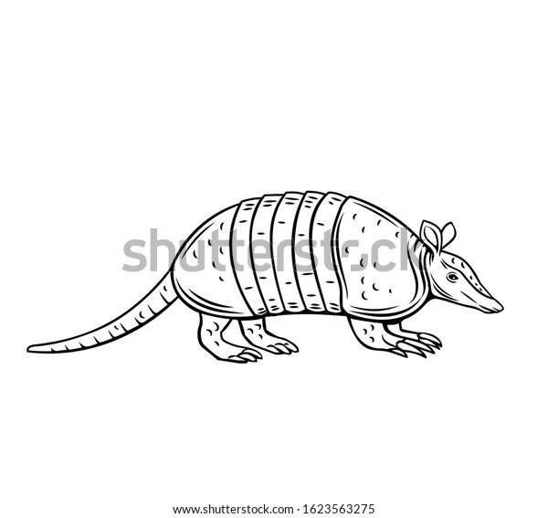 Armadillo Icon Animal Outline Isolated Illustration Stock Vector ...