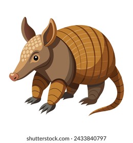 Armadillo illustration on White Background