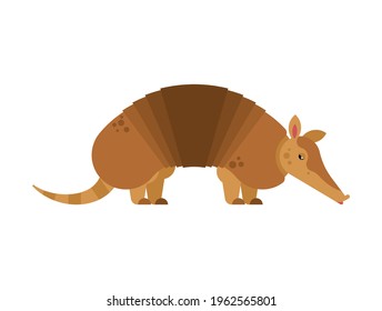 Armadillo isolated. Animal armor-clad vector illustration