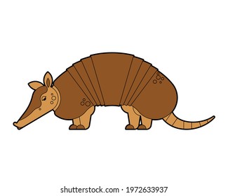 Armadillo isolated. Animal armor-clad vector illustration