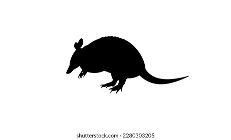 Armadillo isolated icon, high quality vector