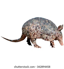 Armadillo in low polygon style on white background, vector illustration