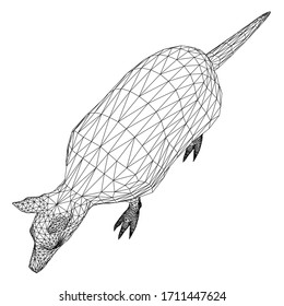 Armadillo parrot polygonal lines illustration. Abstract vector armadillo on the white background