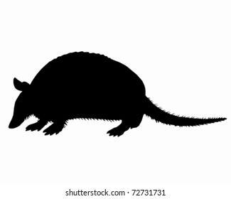 Armadillo Silhouette