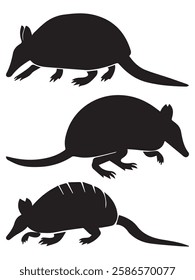Armadillo Silhouettes vector Illustration Set