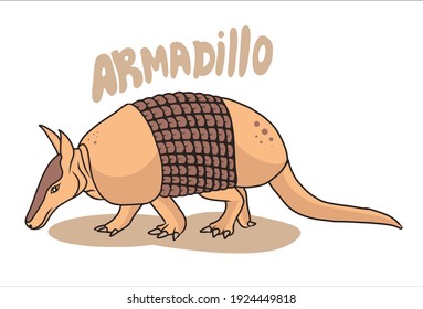 armadillo vector isolated, with white background.