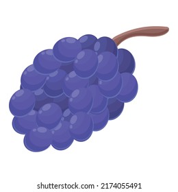 Armenia grapes icon cartoon vector. Medieval travel. Country meal