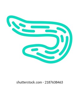 armenian cucumber color icon vector. armenian cucumber sign. isolated symbol illustration
