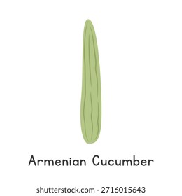 Ilustração plana do vetor dos desenhos animados do pepino armênio isolada no fundo branco