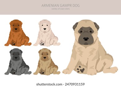 Armenian Gampe dog puppy clipart. Different poses, coat colors set. vector illustration