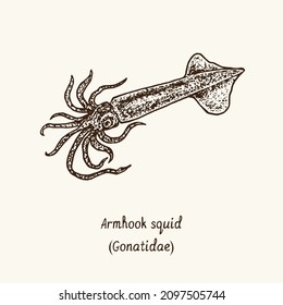 Armhook squid (Gonatidae). Ink black and white doodle drawing in woodcut style with inscription.