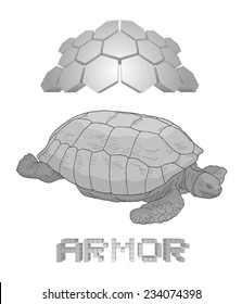 Armor turtle draw