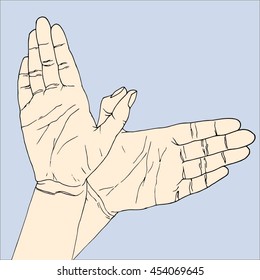 arms depicting a bird