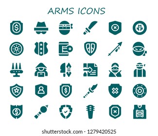  arms icon set. 30 filled arms icons. Simple modern icons about  - Shield, Hacker, Ninja, Weapons, Lance, Weapon, Bladder pipe, Armor