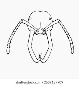 army ant soldier vector illustrations. head. drawing. simple