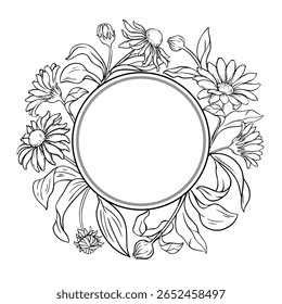 Arnica Plant met bloemen en bladeren Outline Round Frame. Vector geïsoleerd voor ontwerp of decoratie.