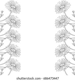 Arnica. Vintage medicinal herb sketch. Botanical plant illustration, isolated on white background, frame, decorative border.