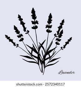 Aroma herbal lavender purple flower natural relaxation in aromatherapy, tea, medicine, candle, decor 