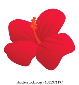 Aroma hibiscus icon. Cartoon of aroma hibiscus vector icon for web design isolated on white background