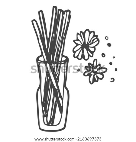 Aroma reed diffuser and flowers icon doodle illustration in vector. Hand drawn aroma reed diffuser in vector
